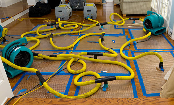 Professional Storm Water Damage Restoration technician working in Haines Falls, NY